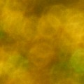 Bokeh-494